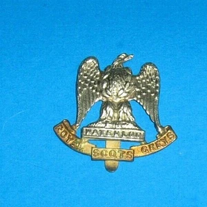 WW1 Royal Scots Greys Waterloo Badge Nice - Picture 1 of 2