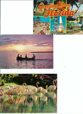 POST CARD- {4}  FLORIDA U.S.   ''GREETINGS FROM FLORIDA'' - Image 1 of 4