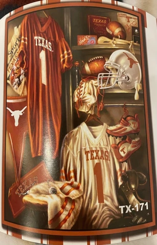 TEXAS LONGHORNS NCAA FLEECE BLANKET Cover