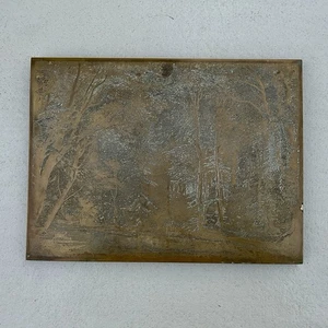 Antique Copper Photoengraving Printing Plate Landscape Deer 16×11¾ 1910s - Picture 1 of 12