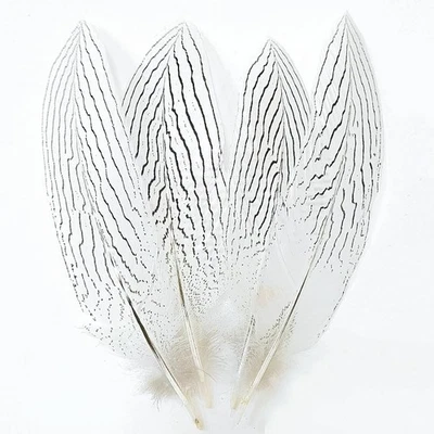 10 PIEZAS Plumas de Faisán Plateadas, 8-10 Pulgadas 20-25cm, Natural, A Granel, Artesanías, Hágalo Usted Mismo Foto 1 de 4