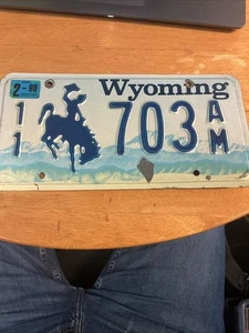 matrícula wyoming 98 - Imagen 1 de 4