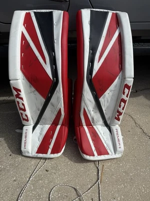 Almohadillas de portero CCM Premier II 34+1 rojo/blanco/negro - usadas - excelente estado Foto 1 de 3