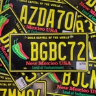 New Mexico Chile Pepper License Plate 🔥FREE📬🔥1 Random Colorful NM Graphic Tag