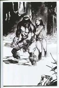 THE CIMMERIAN: IRON SHADOWS IN THE MOON #3 VIRGINIE AUGUSTIN VIRGIN VARIANT 1/10 - Bild 1 von 2