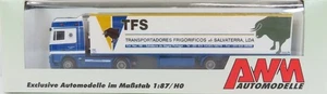 AWM 694101 H0 - Camión DAF con remolque TFS - Imagen 1 de 1