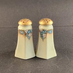 Shakers sale e pepe bianco e oro Royal Austria con motivo floreale vintage - Foto 1 di 10
