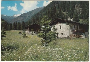 VAL DI RABBI - TRENTO - MALGHE IN VAL CAMPISOL - VIAGG. -49186- - Picture 1 of 1