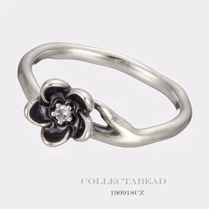 Auténtico Anillo Pandora Plata Mística Floral Circonita cúbica Talla 56 (7.5) 190918CZ - Imagen 1 de 1