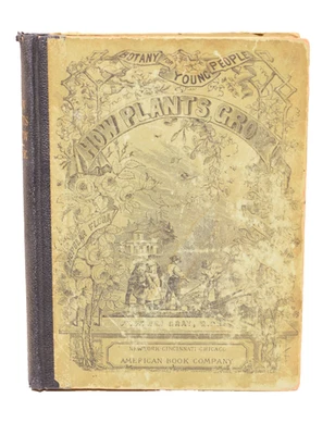 How Plants Grow: Botany For Young People by Asa Gray 1858 — 第 1/4 张图片