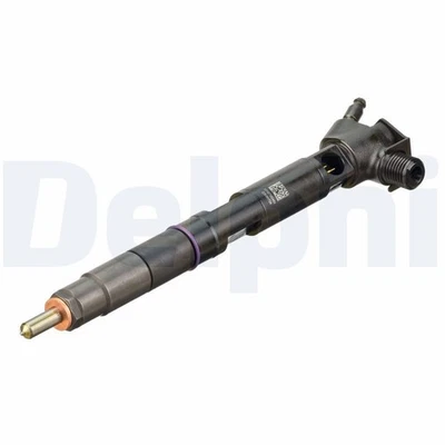 Injector Delphi 28389783-12B1 Fits JCB Mixture Formation - Image 1 of 3