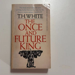 The Once and Future King by T.H. White 1966 Vintage Book Novel - Picture 1 of 3