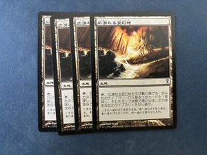 MTG 4X JAPANESE TIME SPIRAL TERRAMORPHIC EXPANSE NM MAGIC THE GATHERING COMMON - Picture 1 of 6