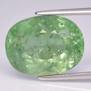 π BGL 8.89ct Oval Natural Green Tourmaline - Stunning Mozambique Gemstone - Picture 1 of 5
