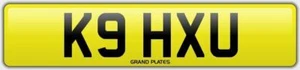 Placa de número K9 DOG PUPPY HOUND K9 HXU SIN CARGOS ADICIONALES PASEO PARA PERROS REG WOOF LOVE U - Imagen 1 de 3