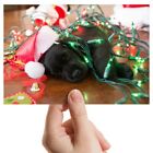 Photograph 6x4"  - Christmas Lights Puppy Black Dog  #44600