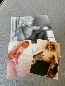 GINGER LYNN ALLEN, sexy Hollywood adult star. Devil's Rejects - Photo 1/1