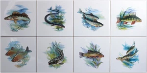 Fliesen mit Fischmotiv als 8er Set auf 15x15cm, Aal Zander Forelle Wels Karpfen - Picture 1 of 9