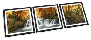 JUEGO DE IMPRESIONES ARTÍSTICAS ENMARCADAS PAISAJE BOSQUE BOSQUE RÍO cuadro póster cuadrado - Imagen 1 de 5