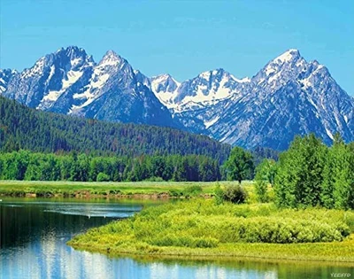  Diamond Painting Kits for Adults, DIY 5D Round Full Drill Art Perfect for  - Image 1 of 4