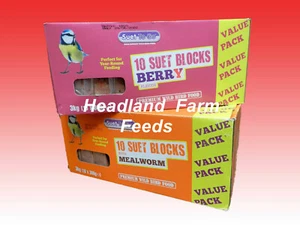 Suet Cake Blocks High Energy Fat Wild Bird Food All Year Feed, Berry, Mealworm