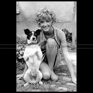 Photo F.002885 MARLENE JOBERT KALI JACK RUSSELL (ALEXANDRE LE BIENHEUREUX) 1968 - Photo 1/1