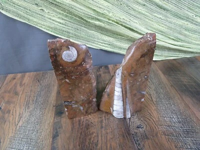 FOSSIL MARBLE BOOKENDS PAIR AMMONITES Morocco Vintage Rough Polished - Image 1 of 4