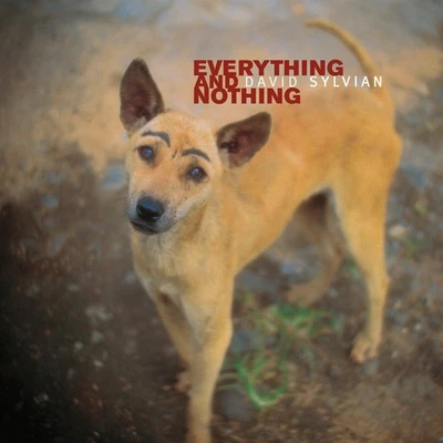 David Sylvian Everything and Nothing (Vinyl) 12" Album Box Set (UK IMPORT) - Image 1 of 2