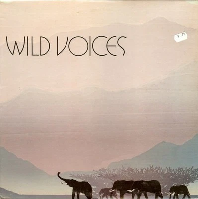 No Artist - Wild Voices (LP) (Very Good Plus (VG+)) Foto 1 de 4