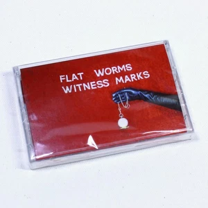 Witness Marks by Flat Worms (Cassette, 2023) - Brand New, Sealed - Imagen 1 de 4