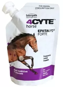 4Cyte Equine Epiitalis Gel 250mL - Picture 1 of 1