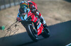 Chaz Davies Hand Signed 12x8 Photo World Superbikes Ducati