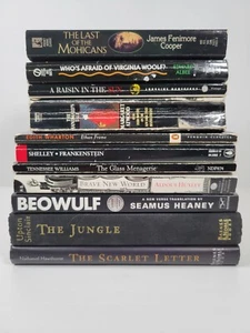 Classic Literature Used Book Lot British American Literary Fiction Book Set Bulk - Picture 1 of 3