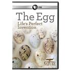 Nature: Egg: Life's Perfect Invention (DVD)