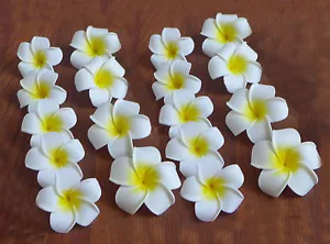 24 Artificial Foam Flowers 2.3" (6 cm) Yellow Plumeria Heads - Picture 1 of 2