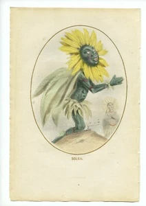 J.J. Grandville Les Fleurs Animées - "Soleil" 19th century print - Picture 1 of 1