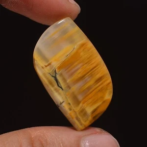 23.50 Cts Genuine Tiger Bee Jasper Loose Gemstone Fancy Cabochon 31X18X4 mm - Picture 1 of 6