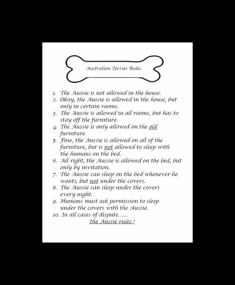 Australian Terrier "Reglas" - PERSONALIZADO MATE - Impresión artística para perros: REGALO Foto 1 de 1