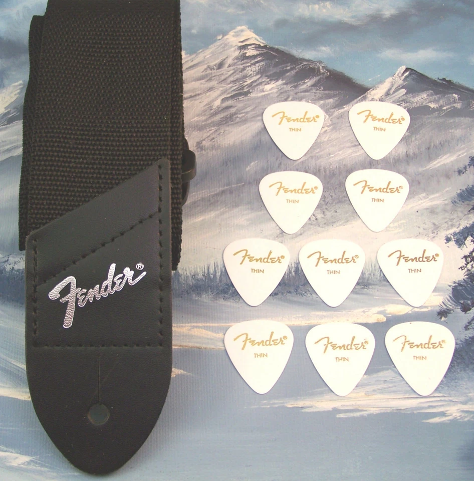 CORREA DE GUITARRA ~ GUARDABARROS GENUINO ~ NEGRO con LOGO PLATEADO + 10 PÚAS FINAS BLANCAS 351 Foto 1 de 1