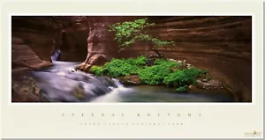 Drinker Durrance, Eternal Rhythms; Redbud Tree, Grand Canyon National Park, AZ - Picture 1 of 2