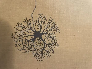 Retina - Picture 1 of 12