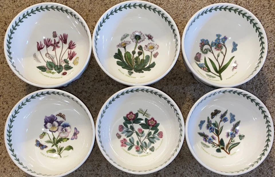 🌷 Fruteros Jardín Botánico PORTMEIRION - Elige Foto 1 de 1