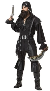 Plundering Pirate Adult Halloween Costume - Picture 1 of 1