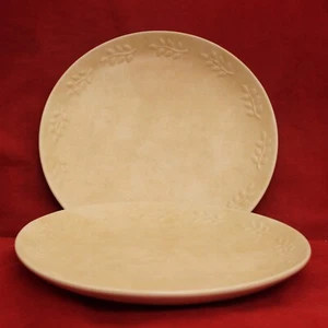 Sonoma Home Goods Summer Fields 2 Dinner Plates Summerfields - Picture 1 of 4