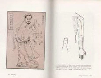 The Layman's Guide to Acupuncture Hardcover - Image 1 of 2