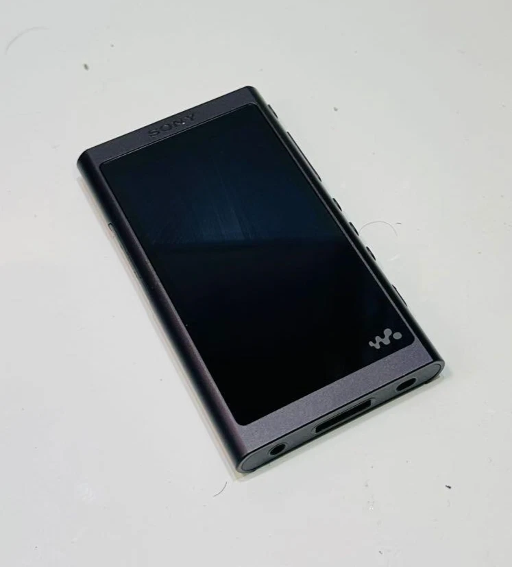 Sony NW-A55 MP3 Players for sale | eBay