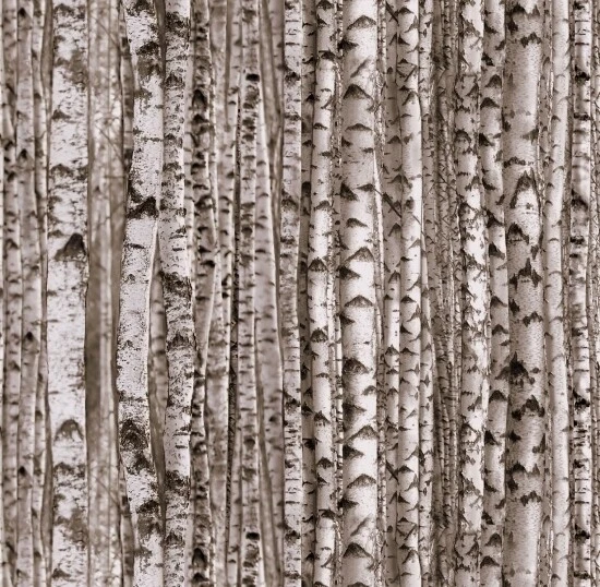 Landscape Medley Fabric - Birch Stripe Gray Taupe - Elizabeth's Studio YARD - Image 1 of 1