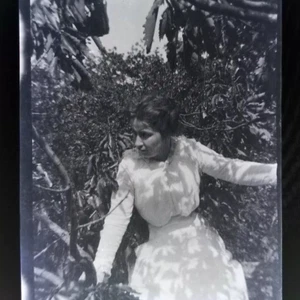 Antique Film Negative Woman Sitting In A Tree Surrounded By Foliage - Picture 1 of 3