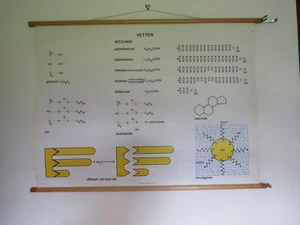TABLA DE BIOQUÍMICA DE LA ESTRUCTURA DE LAS GRASAS ROLL DOWN DE LA ESCUELA DE MEDICINA DE COLECCIÓN - Imagen 1 de 12