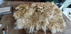 Raw Sheep Fleece Spinning Weaving Stuffing : White Welsh Mt 1.0kg St= 4" (406)